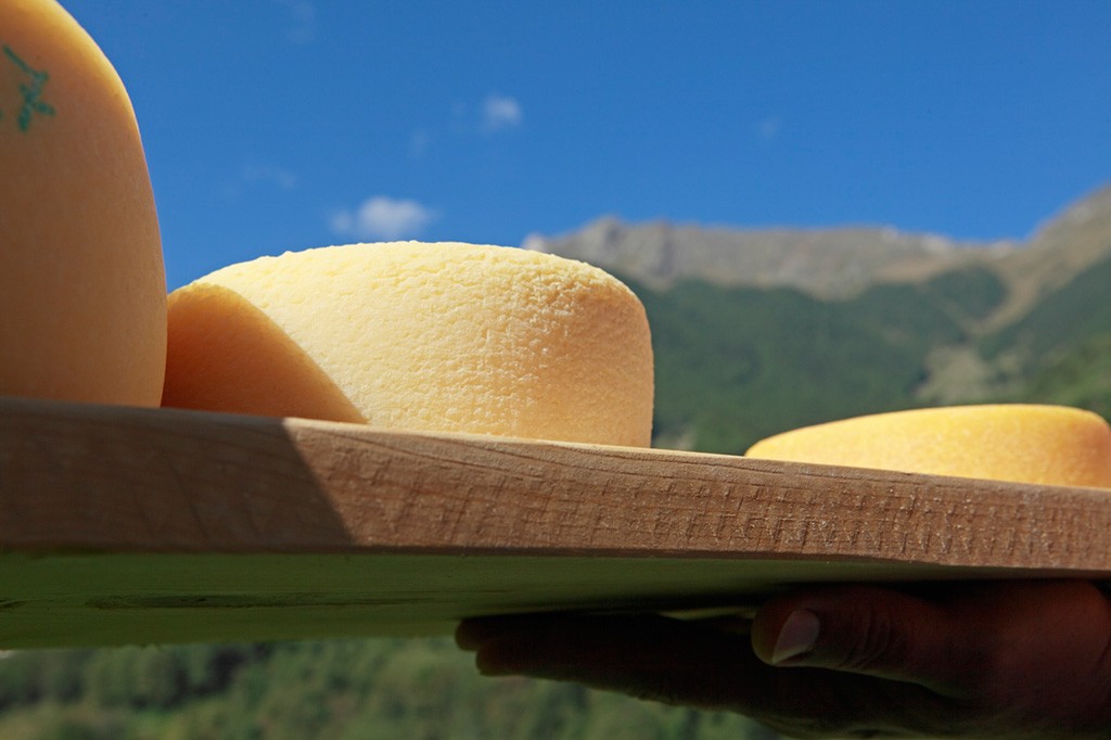 Selbstgemachter Käse von der Hofkäserei in Martell