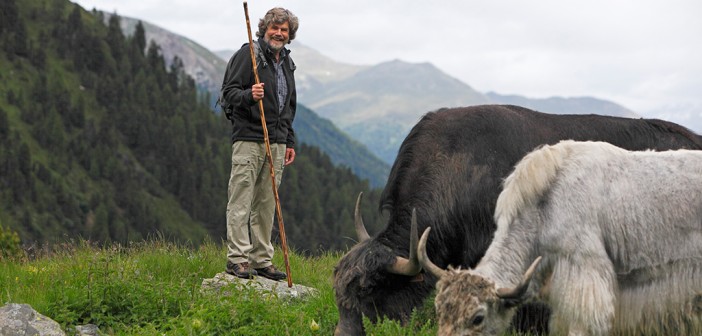 Suedtirol, Vinschgau, Ortlergebiet, Sulden, Jakauftrieb mit Reinhold Messner,